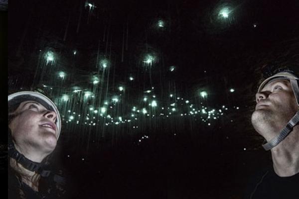 Glow Worm Cave Tour - Charleston